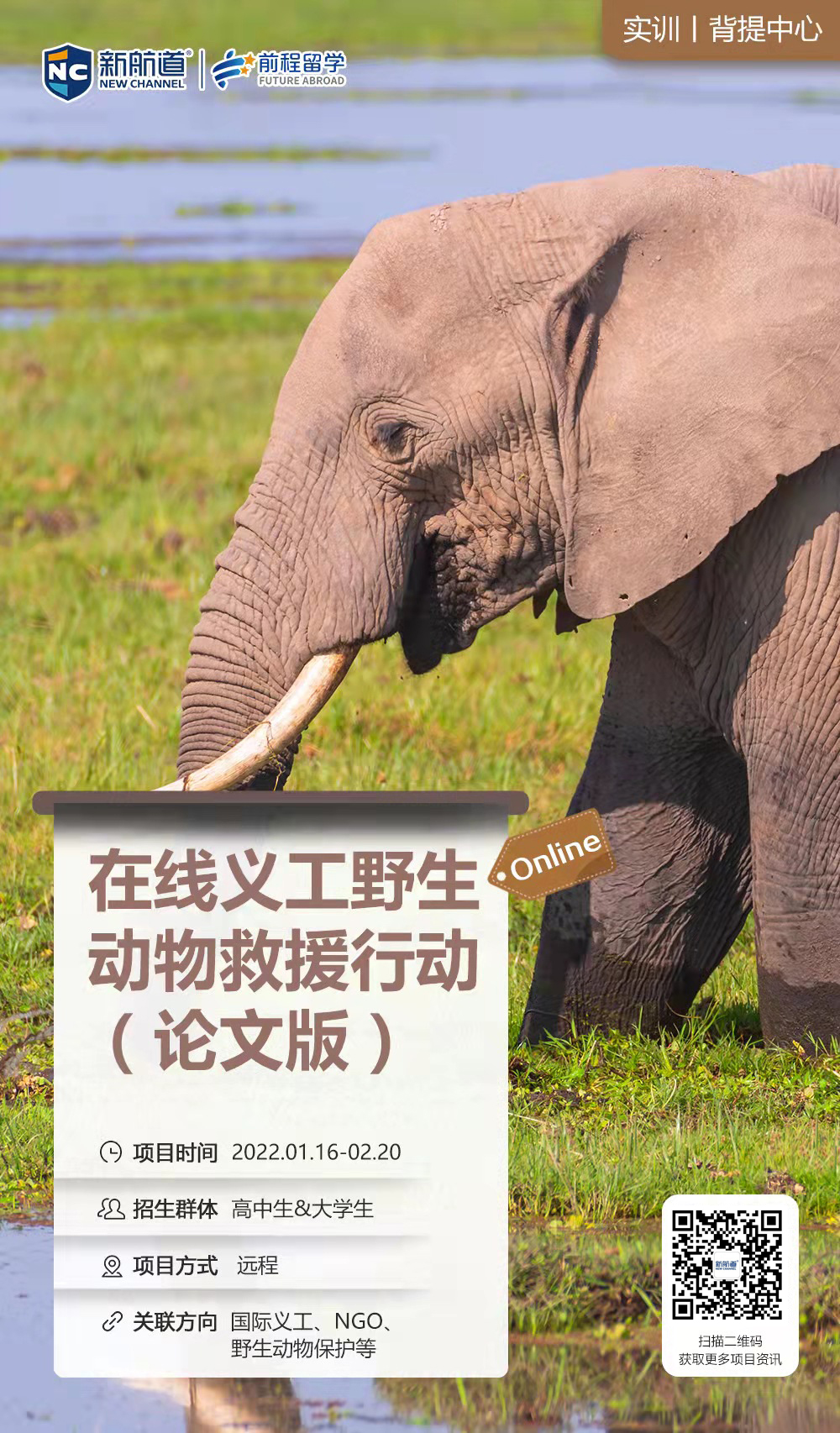 背景提升项目介绍