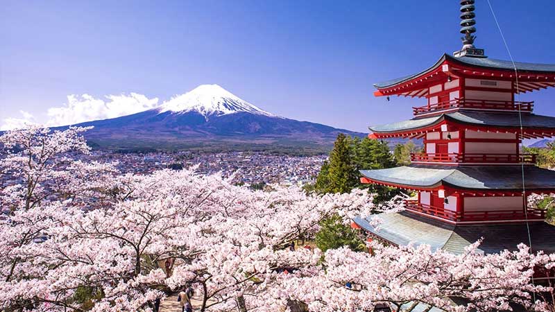 日本留学一年费用是多少钱？