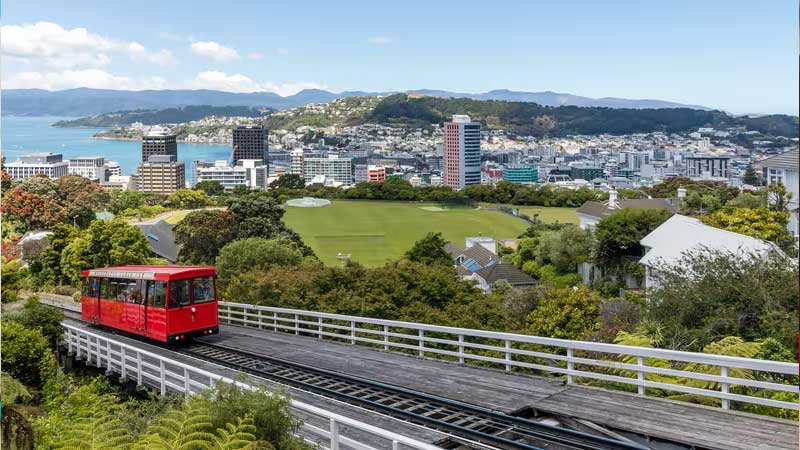 留学新西兰需要多少钱？私立、公立费用不同