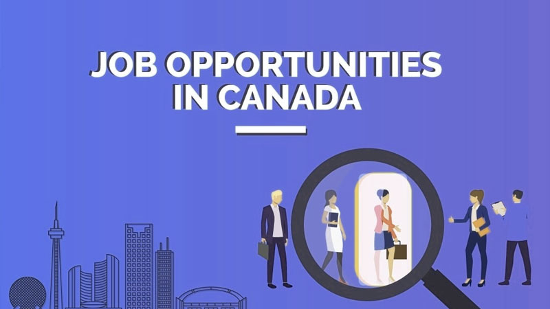 留学生在加拿大就业机会多吗？这些公司在加拿大招收毕业生