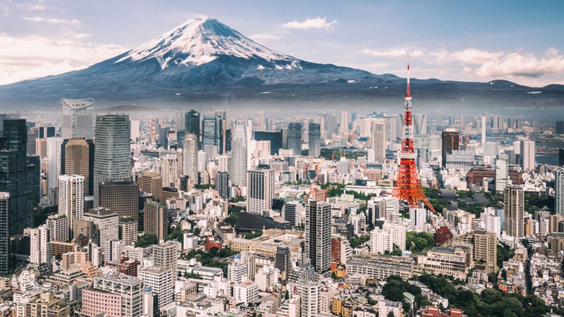 文科日本留学要选择什么专业？