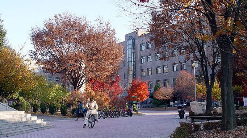 韩国大学排名前十名的名单