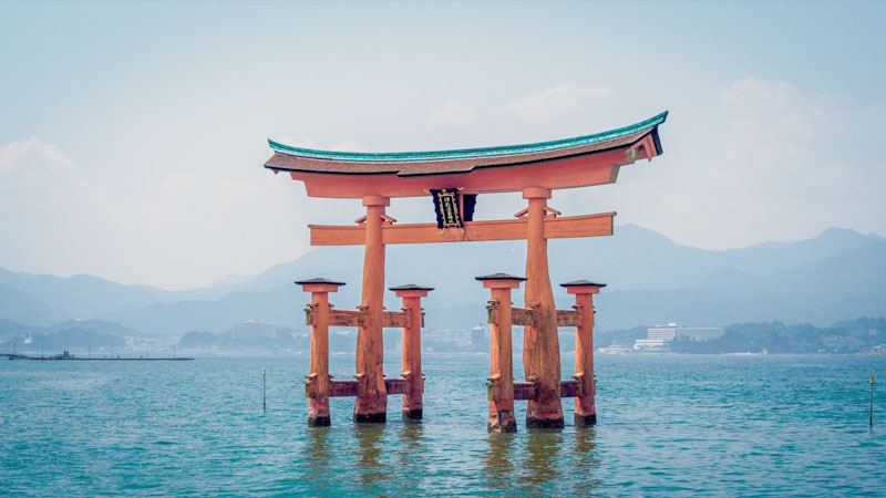 日本留学：这4个步骤缺一不可！