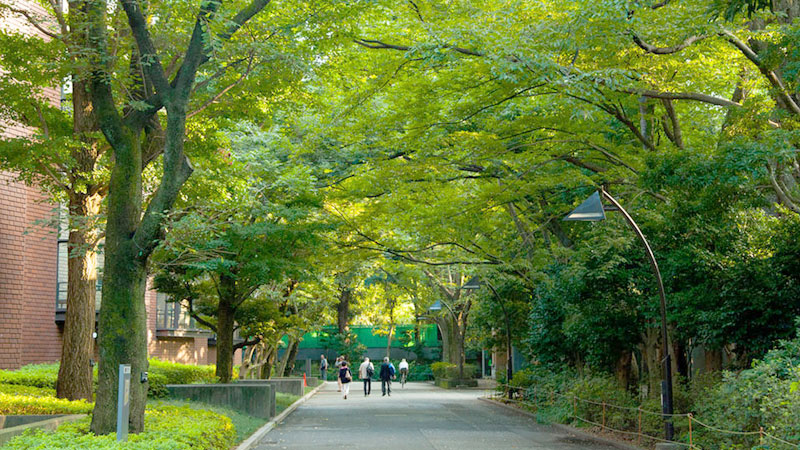 日本最适合国际学生的10所大学