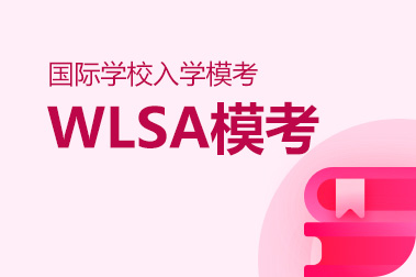 2026年春招【WLSA】模考