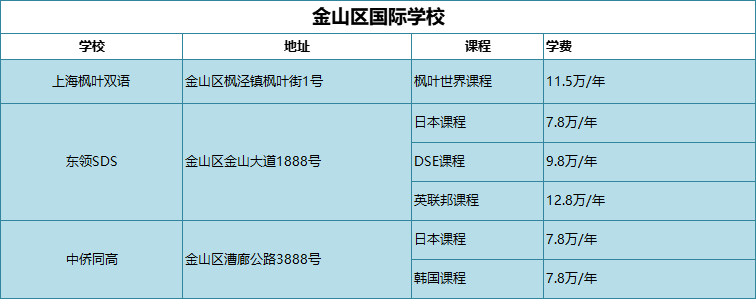 金山区国际学校