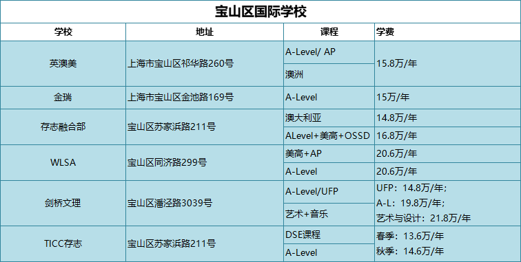 宝山区国际学校
