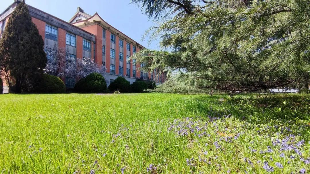 上海IEC中日国际高中