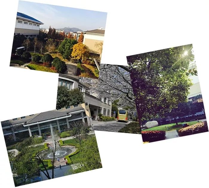 2021年杭州第十四中学AP中心招生简章